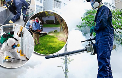 Diệt Côn Trùng HCM Uy Tín – Giải Pháp Kiểm Soát Côn Trùng Hiệu Quả Cho Gia Đình Và Doanh Nghiệp