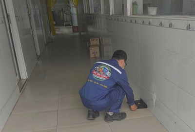 Diệt chuột
